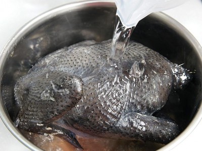 食譜-人蔘雞湯鍋