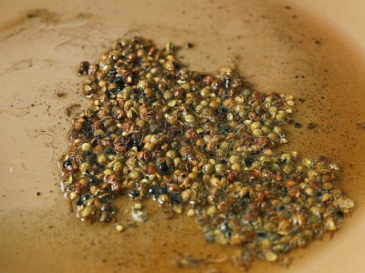 食譜-宮保雞丁麵