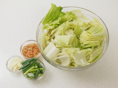 食譜-白菜煲+豉椒雞肉 (一鍋二菜)