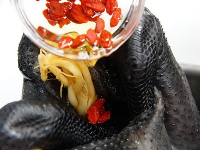 食譜-人蔘雞湯鍋