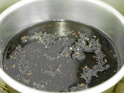 食譜-芒果紫米雪酪