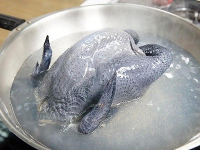 食譜-人蔘雞湯鍋