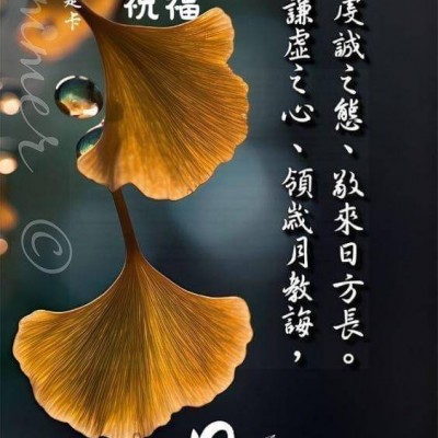 食譜-鄭伊芳