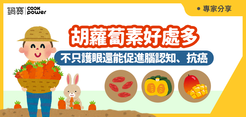 1665465268678573.jpg 800x382.jpg